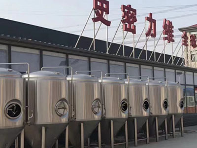 晋城精酿啤酒设备厂—市场规模与跨界新需求